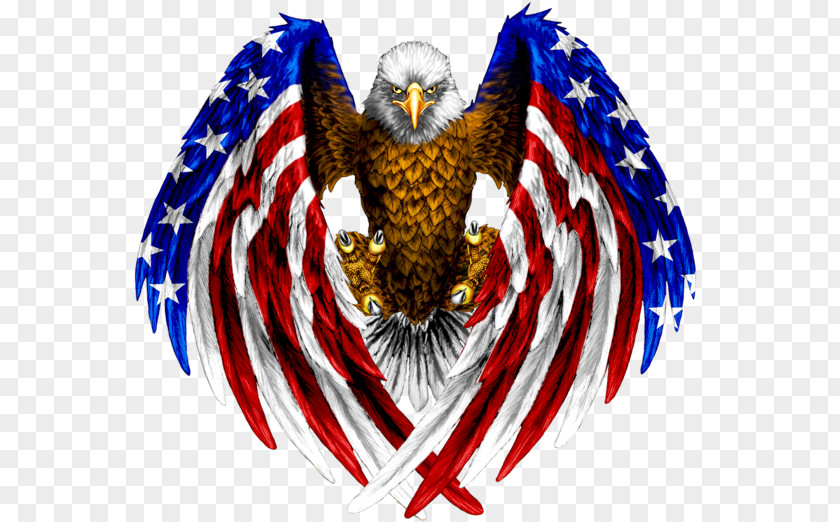 American Flag Eagle Aguia Of The United States Bald Decal PNG