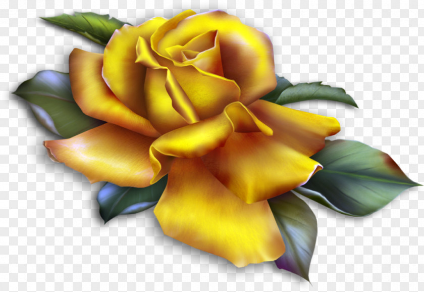 Beautiful Yellow Rose Clipart Clip Art PNG