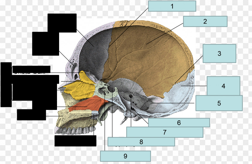 Classroom Interior Jaw Angle PNG