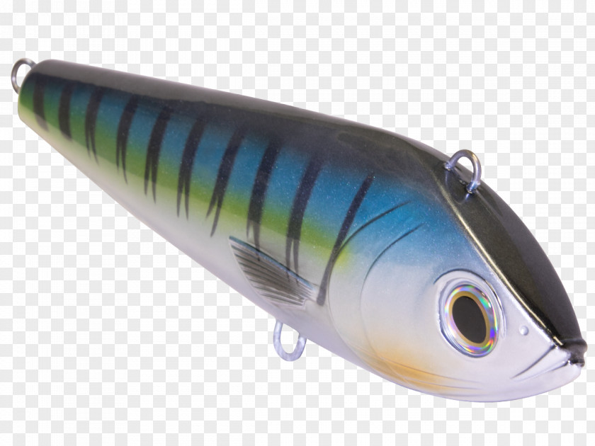 Fishing Lure Spoon Fish AC Power Plugs And Sockets PNG