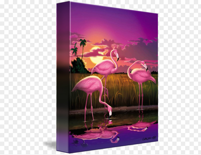 Flamingo Painting Image Canvas Print Art PNG