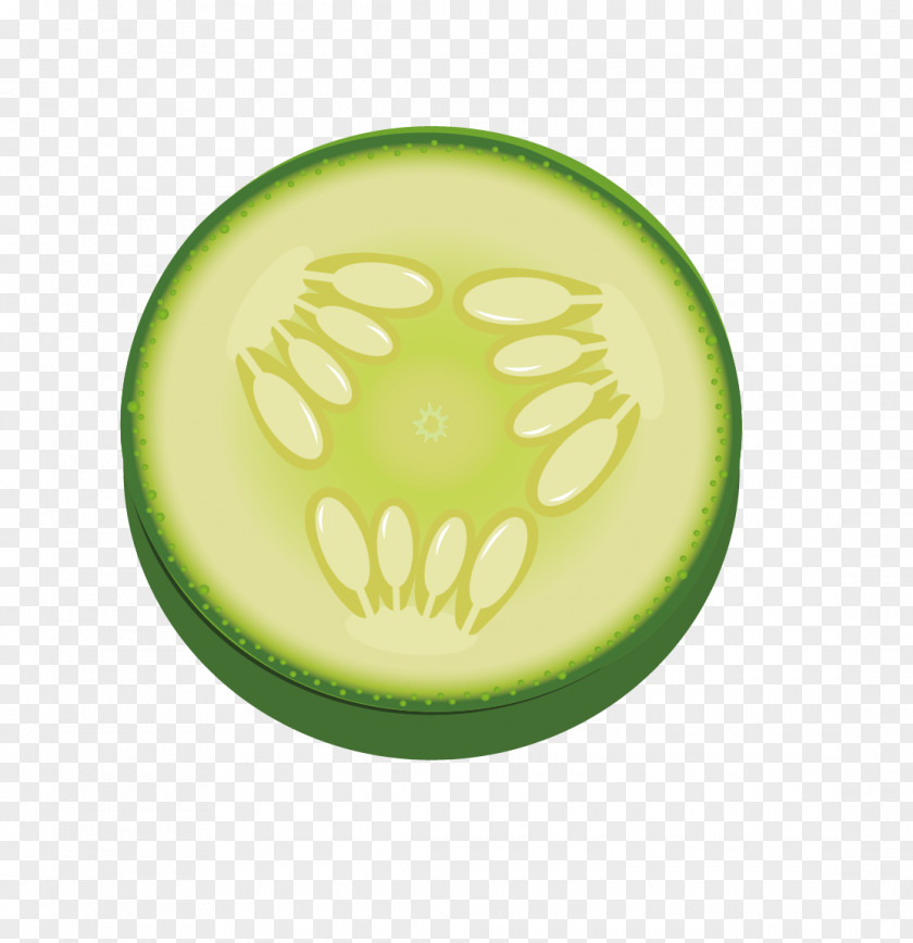 Muskmelon Cantaloupe Melon PNG