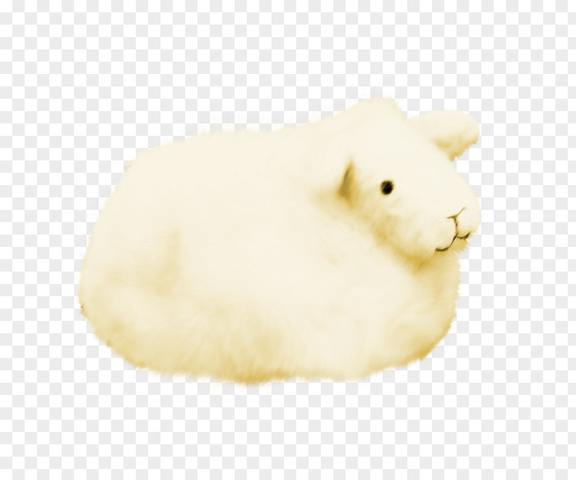 Rabbit Domestic Fur Snout Muroidea PNG