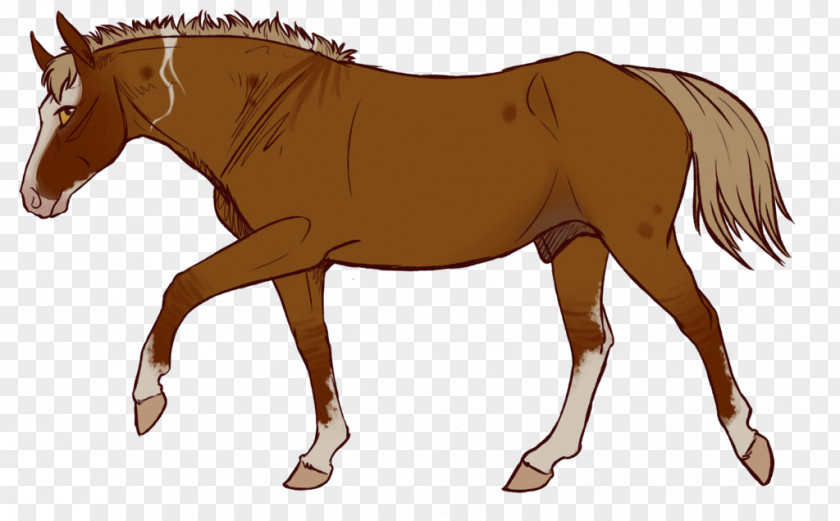 Static Shock Mule Horse Stallion Foal Mare PNG