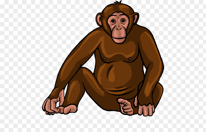 Bear Common Chimpanzee Human Clip Art Monkey PNG