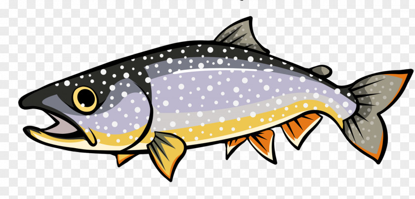 Fishes Fish Seafood Image Design PNG