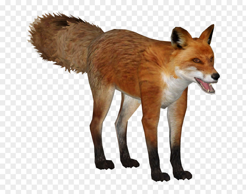 Fox Zoo Tycoon 2 Kit Dhole Wiki PNG