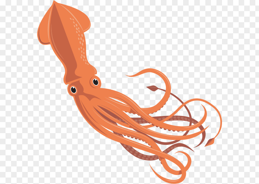 Squid Giant Octopus Cephalopod Invertebrate PNG