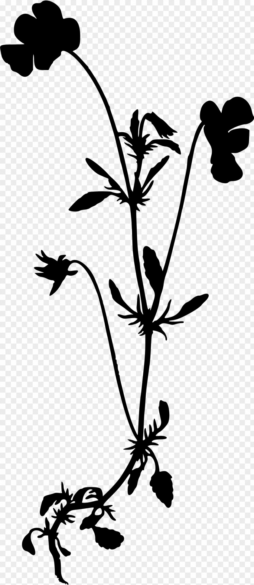 Wild Flowers Wildflower Drawing Silhouette Clip Art PNG