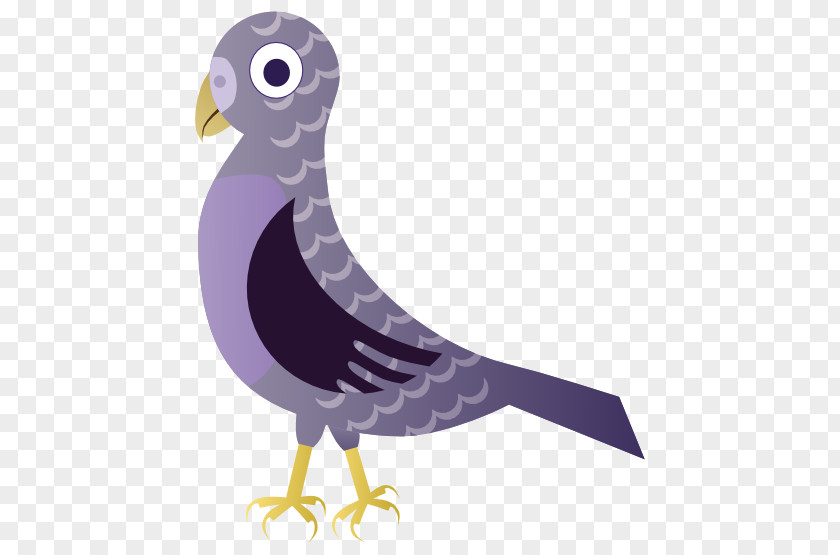 Bird Beak Sparrow Clip Art PNG