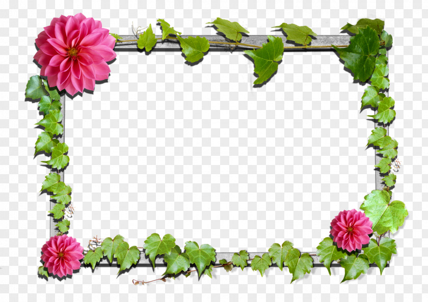 Flower Frame Picture Frames Pink Flowers Clip Art PNG
