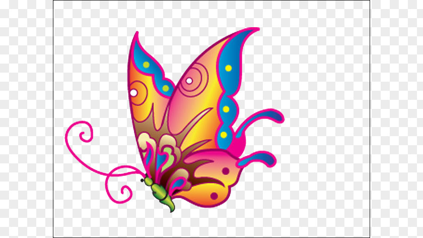 Color Wizard Butterfly Pattern PNG