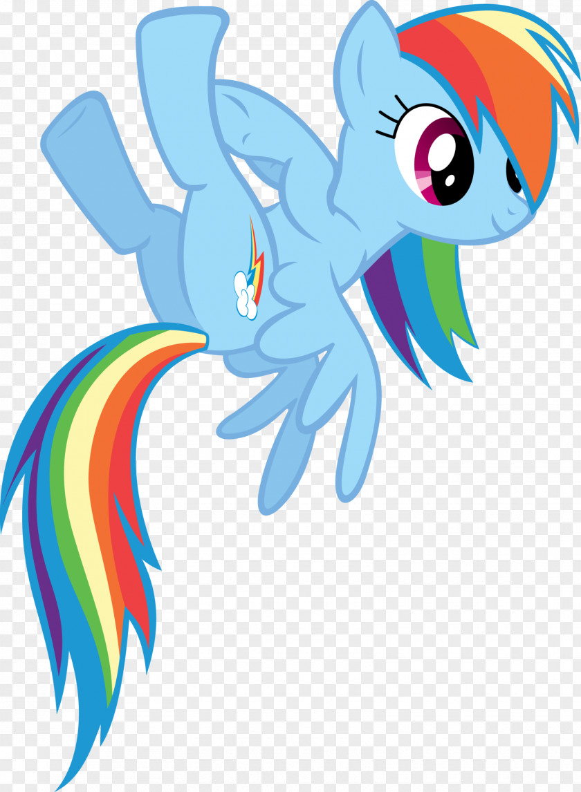 Halo Legends Wiki Rainbow Dash Pinkie Pie My Little Pony: Equestria Girls DeviantArt PNG
