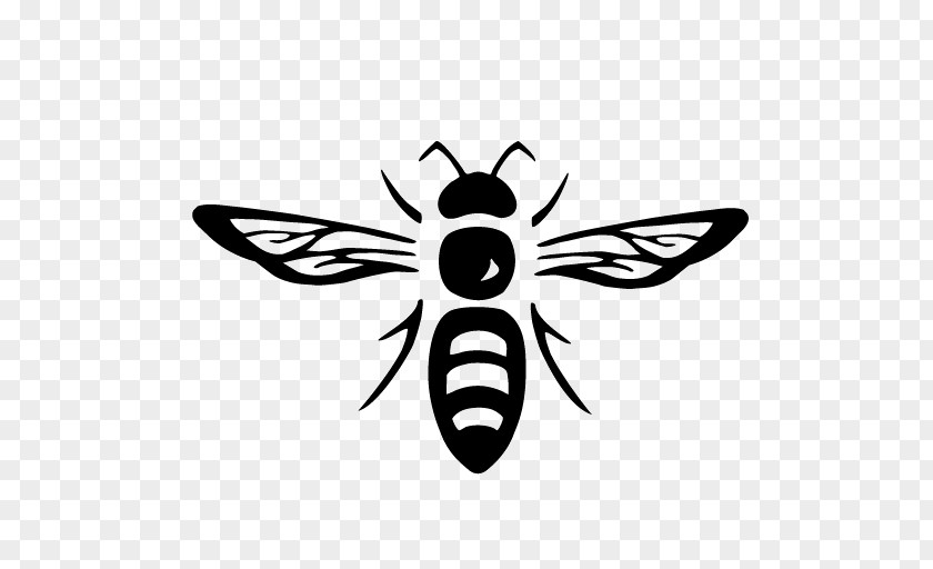 Worker Bee Logos Honey Beekeeping Insect Langstroth Hive PNG