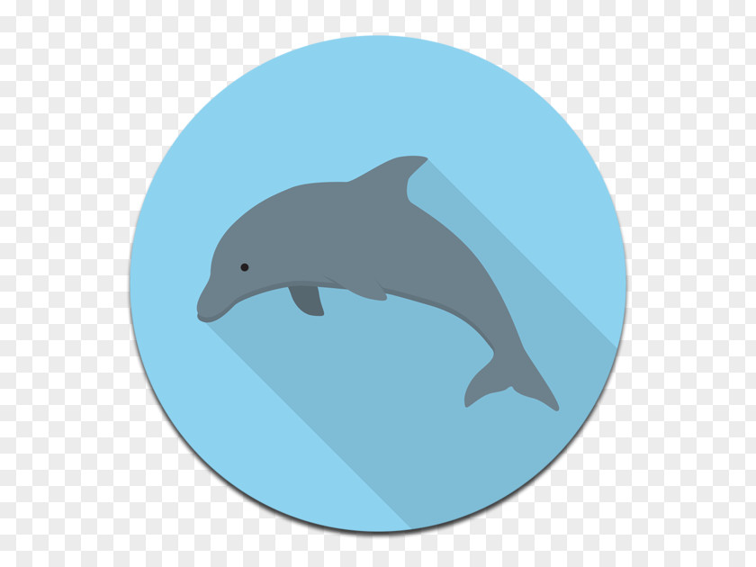 Yangyang Common Bottlenose Dolphin Tucuxi Wholphin Wild Boar Porpoise PNG