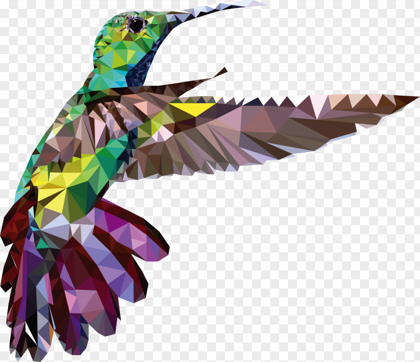 Bird Hummingbird Decal Bumper Sticker PNG