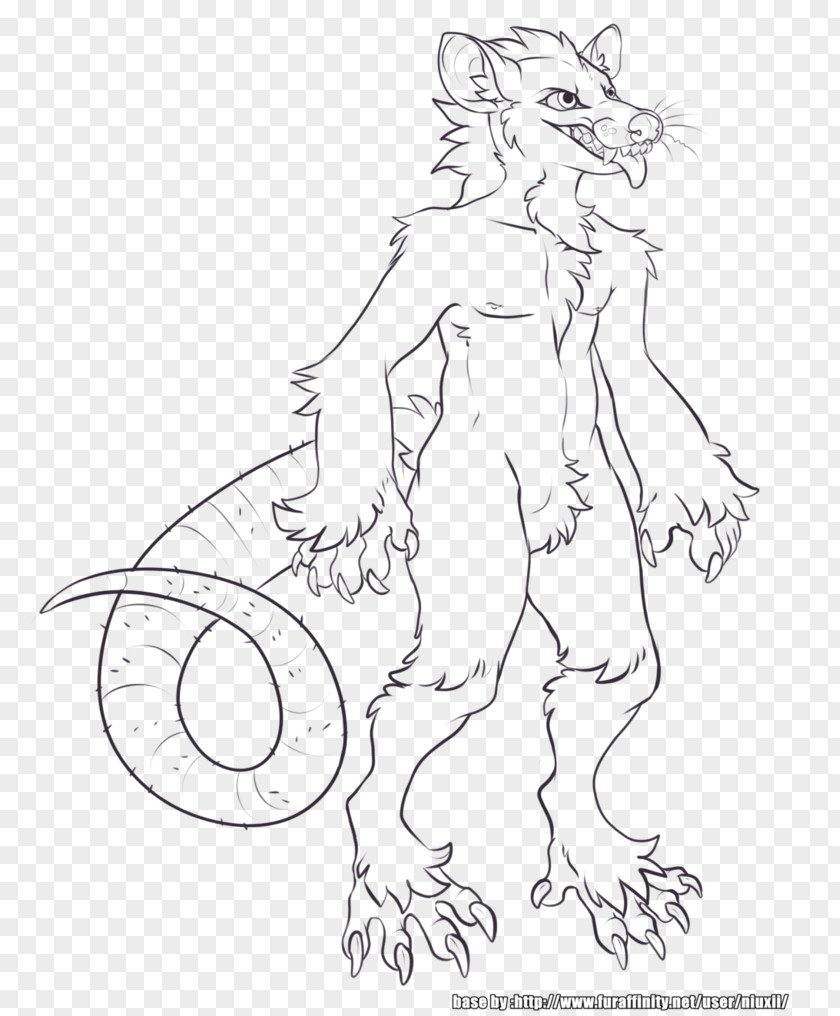 Drawing Line Art Opossum Sketch PNG