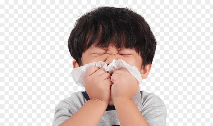Flu Protection Nose Hay Fever Child Sneeze Allergy PNG