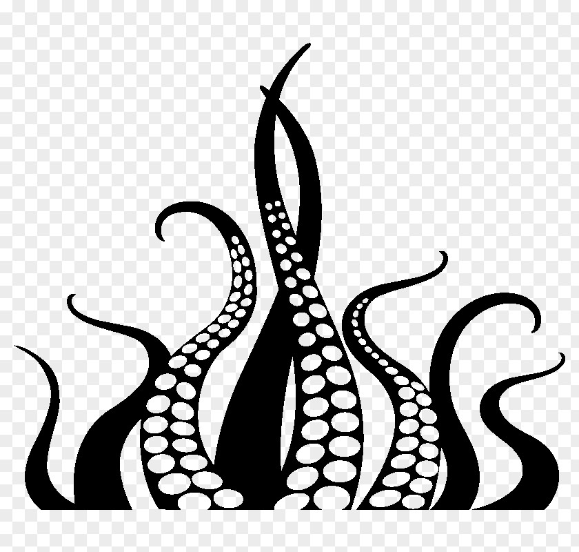 Octopus Squid Tentacle Drawing PNG , manga design clipart PNG