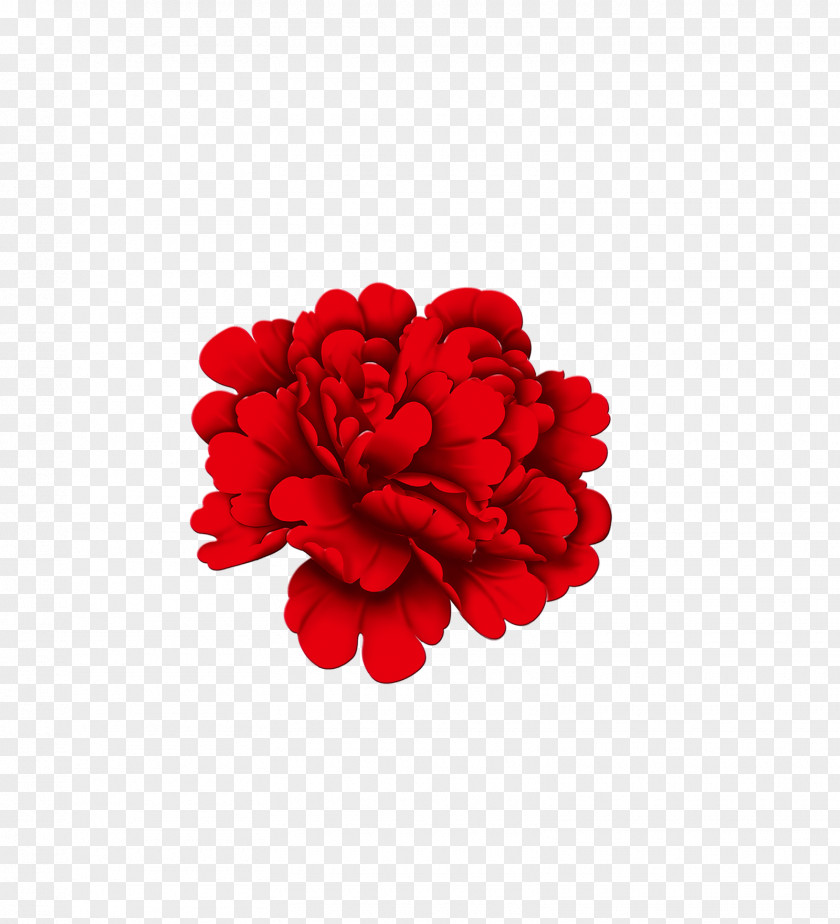 Red Peony Flowers Download PNG