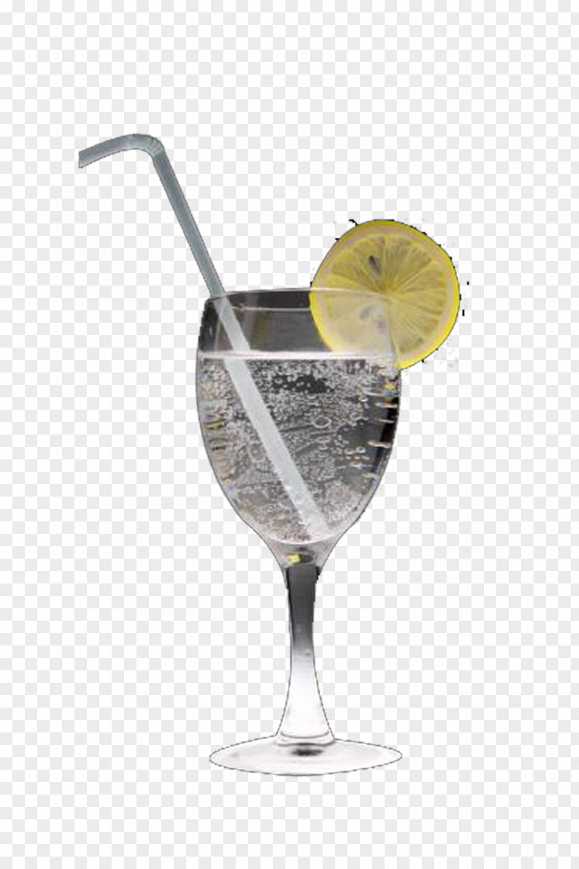 Sprite Lemon Martini Gin And Tonic Cocktail Garnish PNG