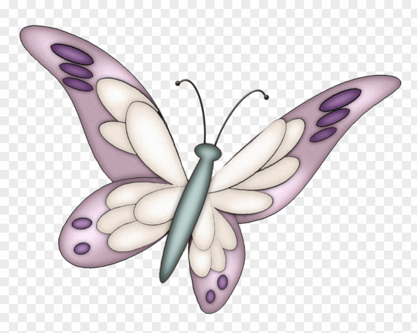 Buterfly Butterfly Color Drawing Clip Art PNG