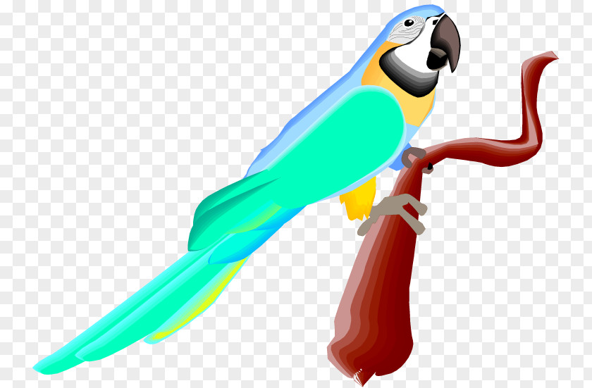 Neotropical Birds Online Macaw Budgerigar True Parrot Clip Art PNG