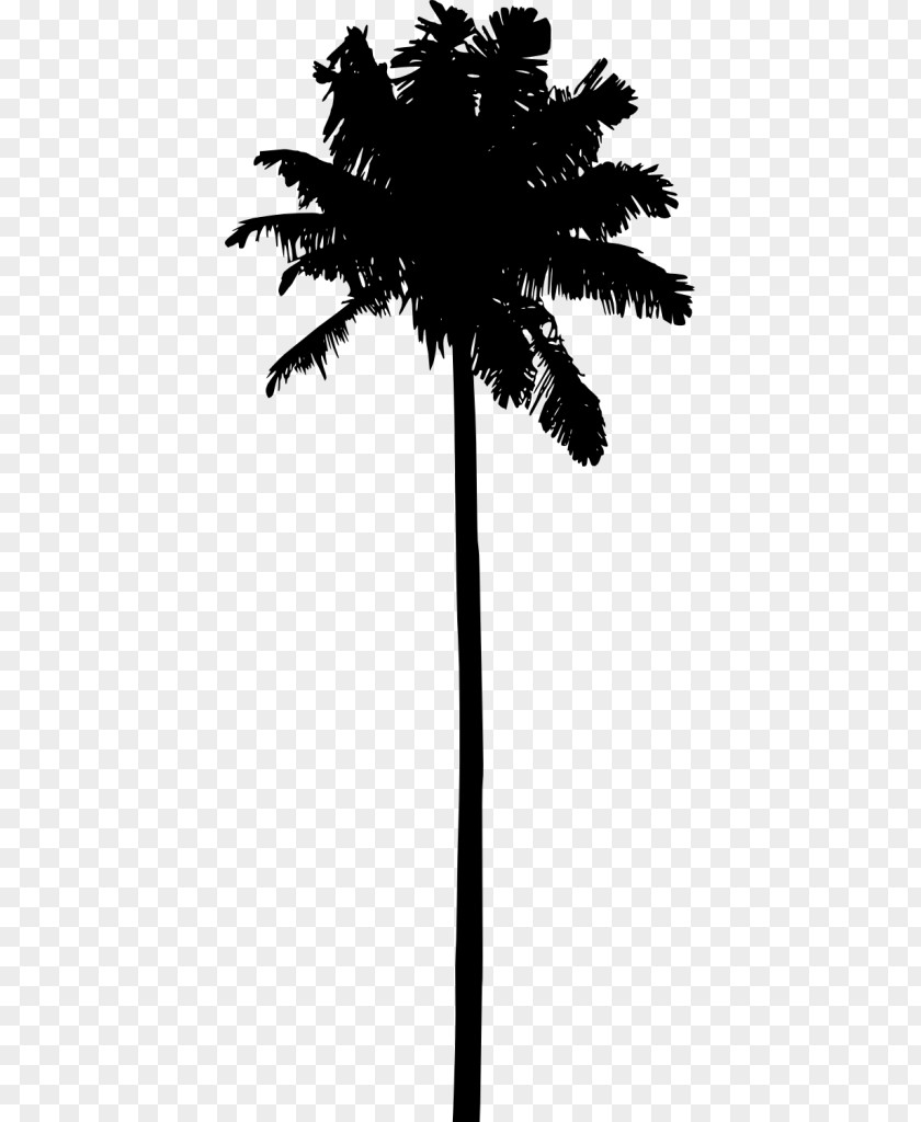 Palm Tree Silhouette Icons Clip Art Trees Vector Graphics PNG