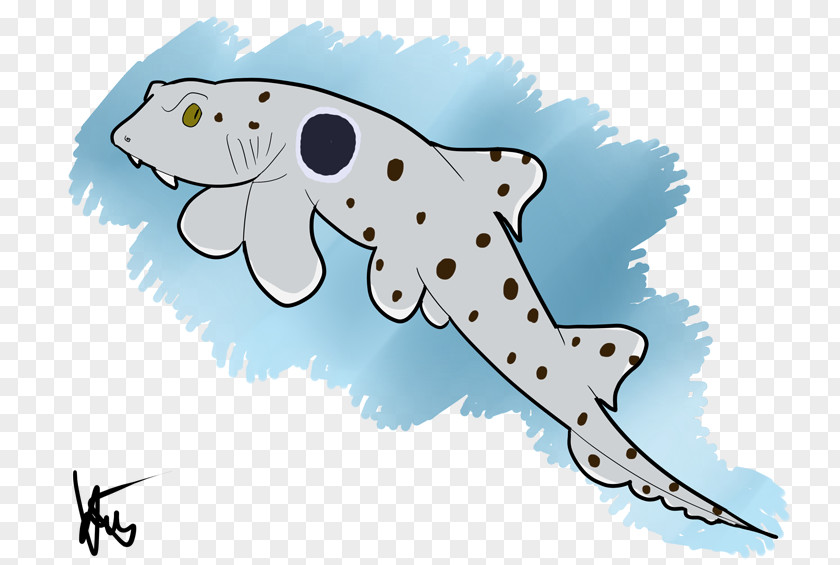 Sharks Epaulette Shark Drawing Bull PNG