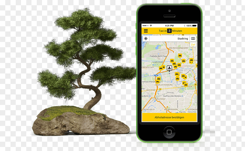 Taxi App Logo Tree PNG