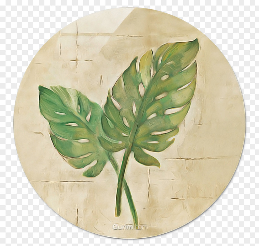 Wildflower Anthurium Green Leaf Background PNG