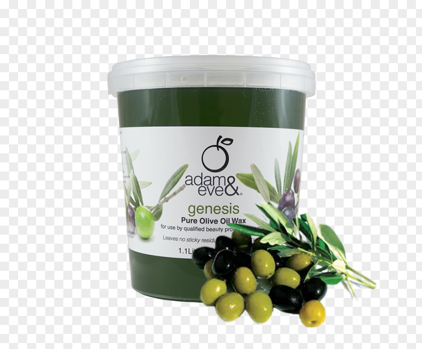 Adam Eve Genesis And Wax EBeauty Supplies Hair PNG