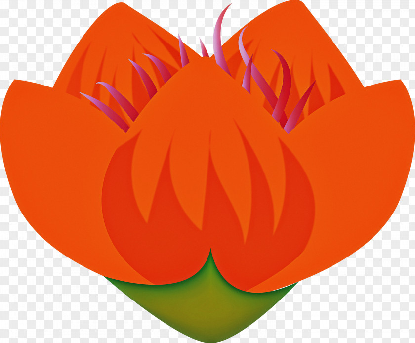 Diwali PNG