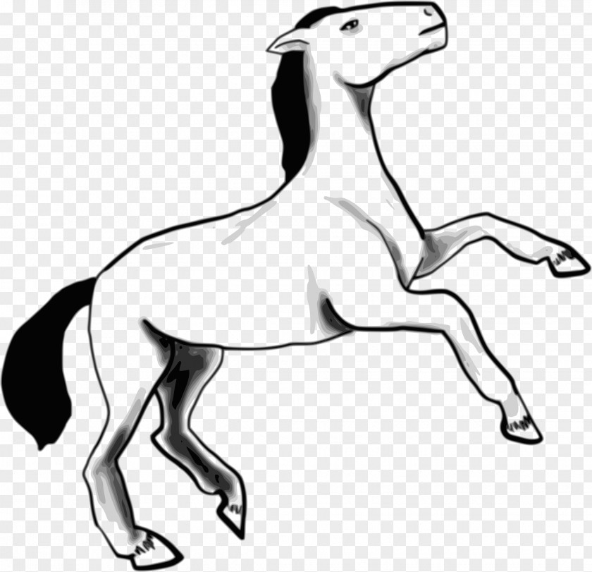 Dog Arabian Horse Mustang Pony Clip Art PNG