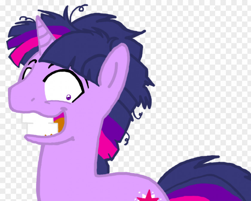 Pony Twilight Sparkle Rainbow Dash Princess Celestia Sunset Shimmer PNG