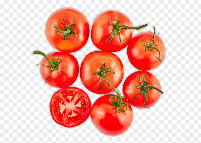 Tomato Plum Ketchup Bush Pozole PNG