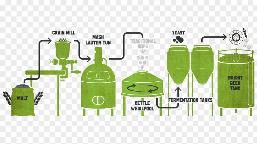 Beer Brewing Grains & Malts Brewery Bright Hops PNG