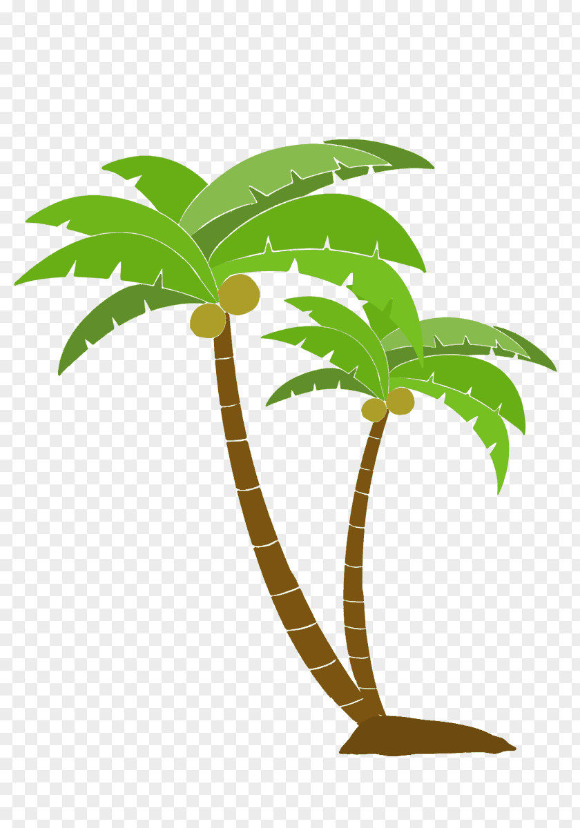 Coconut Tree Vector Arecaceae Woody Plant PNG