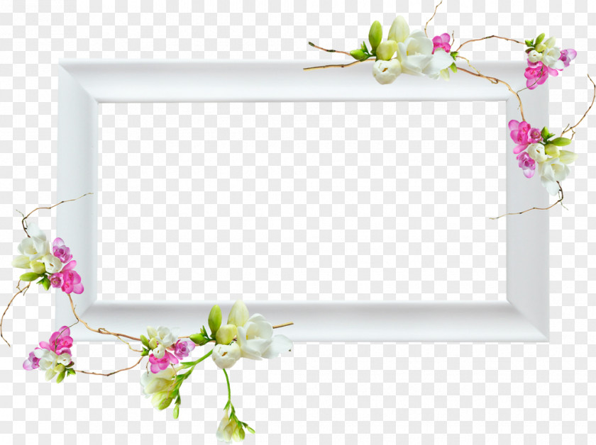 Flower Picture Frames Image Borders And Centerblog PNG