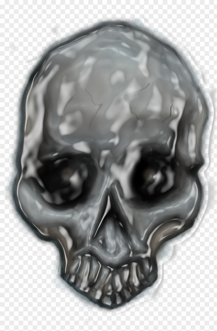 Skull Bone Jaw PNG