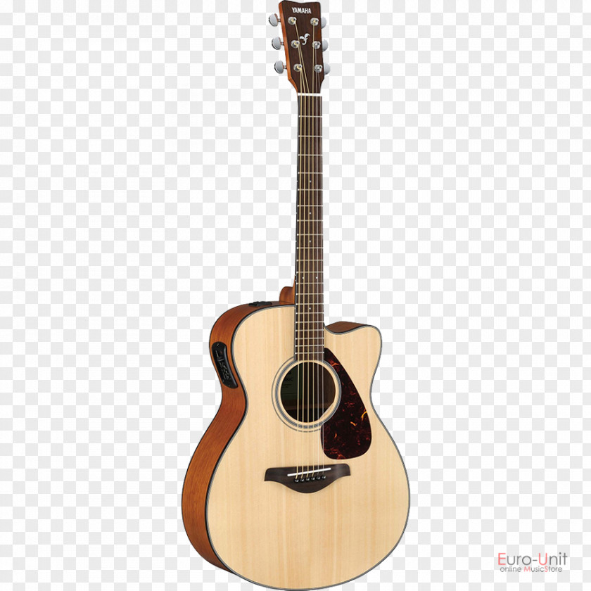 Acoustic Twelve-string Guitar Acoustic-electric Steel-string PNG
