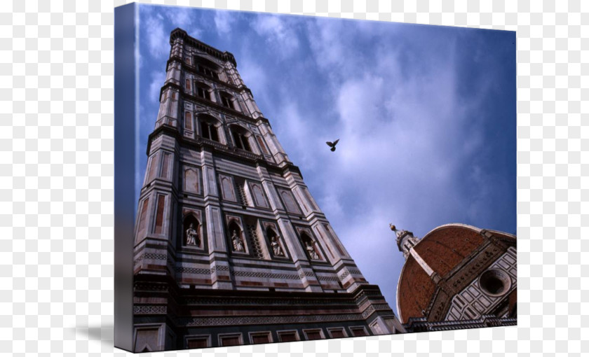 Cathedral Florence Gallery Wrap Columbidae Canvas PNG