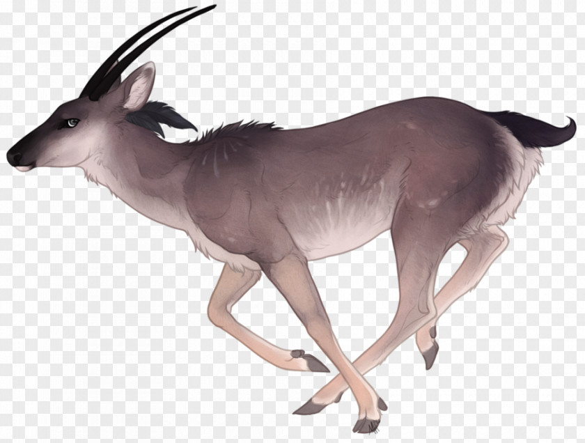 Deer Vector Graphics Gemsbok Watercolor Painting PNG