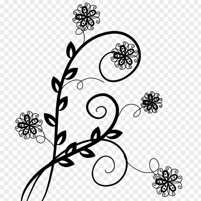 Design Floral Drawing White PNG