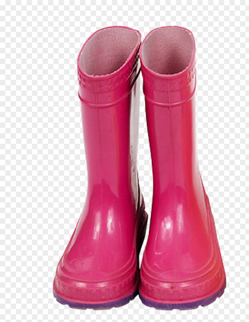 Galoshes Shoe Wellington Boot PNG