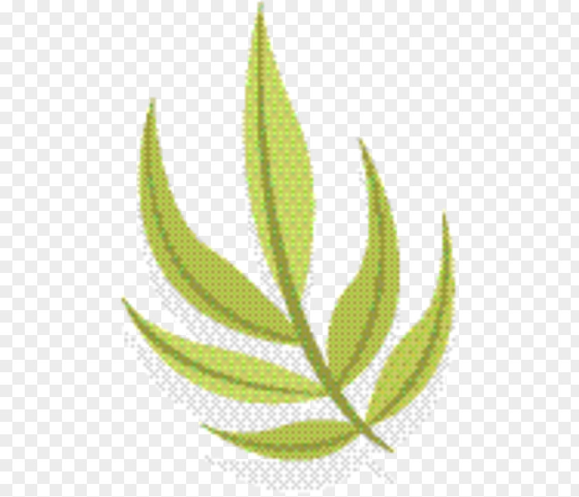 Perennial Plant Aloe Hemp Leaf PNG