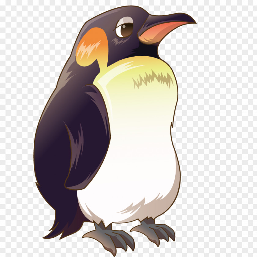 Vector Animal World Penguin Cartoon PNG