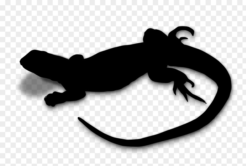Amphibians Reptile Clip Art Silhouette PNG