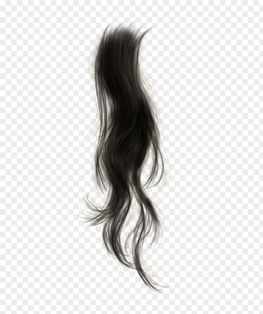 Cabelo Black Hair Wig PNG