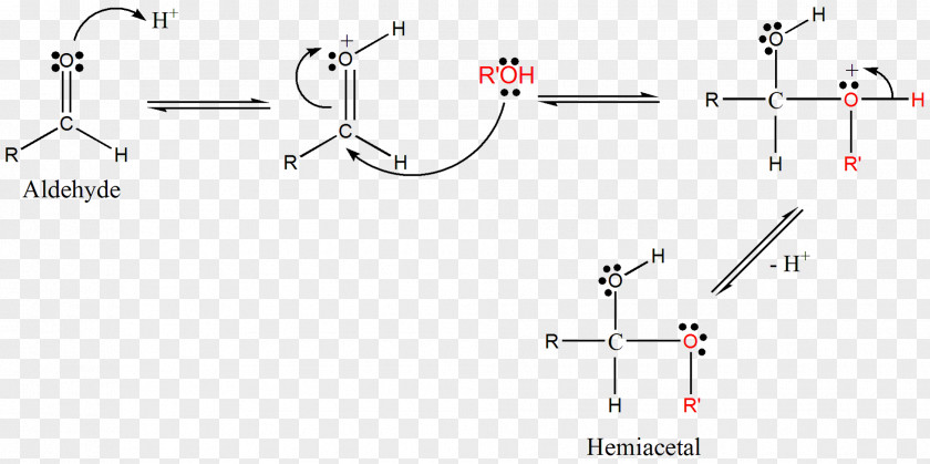Camphoric Acid Carbonyl Group Organic Chemistry Functional Chemical Reaction PNG